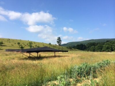 Polyface Farm Summer Internship: Week Four Image